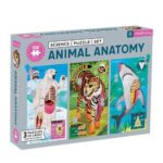 Animal Anatomy