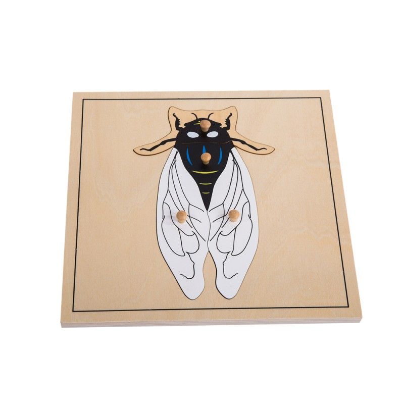 Fly puzzle