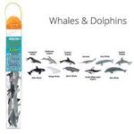 Toob - Whales And Dolphins
