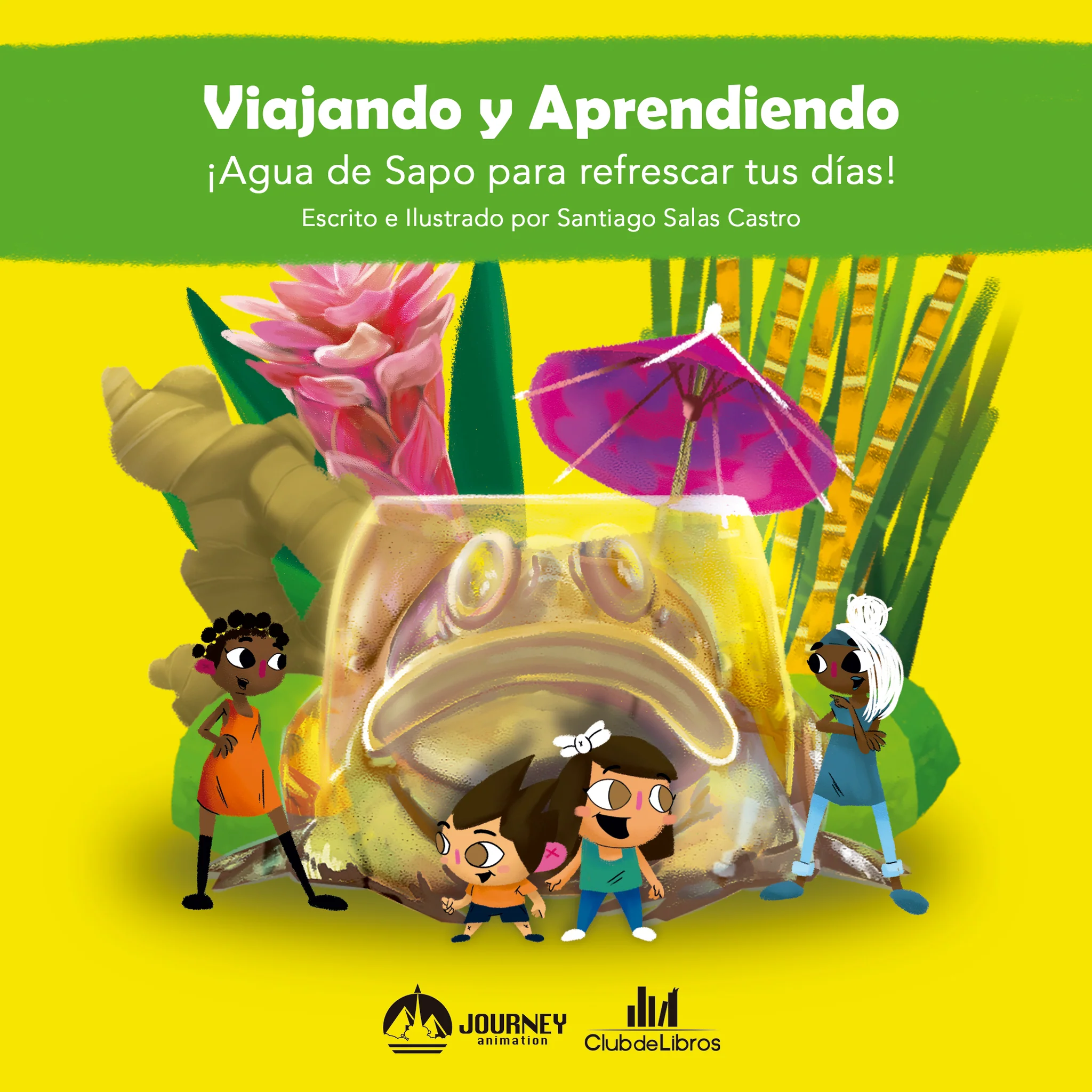 Viajando y aprendiendo : Agua de Sapo para refrescar tus dias